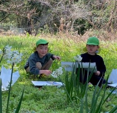近隣の松林公園にはスケッチやお散歩に行きます。