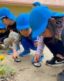 広い園庭でたくさん遊びます。