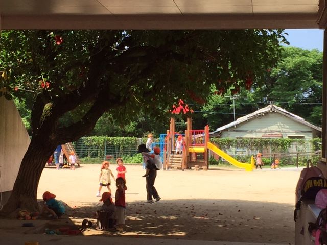 広い園庭でのびのび遊びます