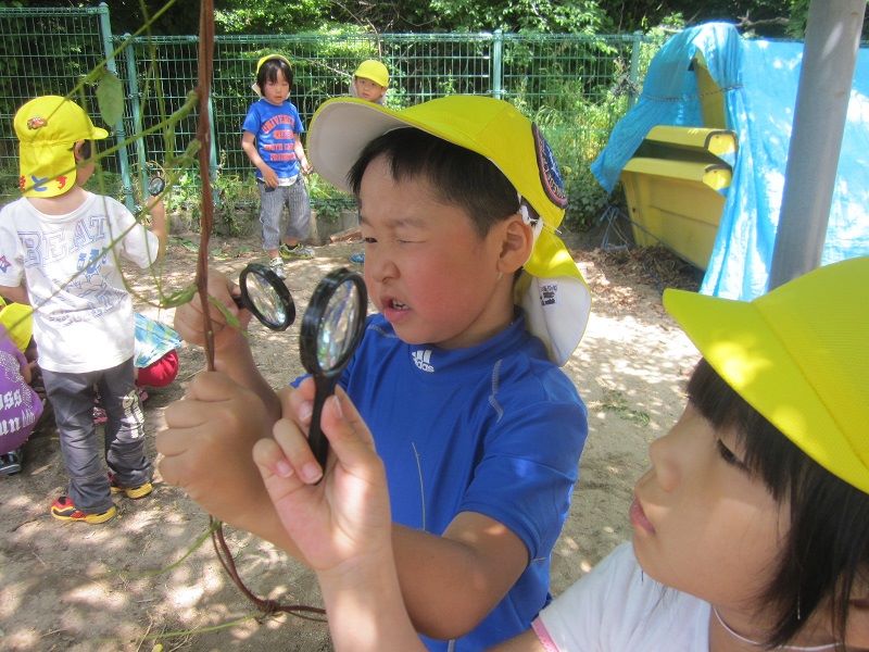 様々な遊びを通して学びます